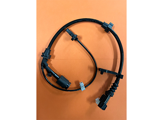 WSS harness
